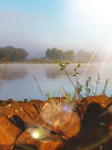Ferienwohnung An Der Elbe Bleckede Bagian luar foto